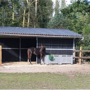 Shelter stable
